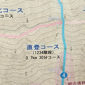 せっかくなので、わざわざ一旦降りて、名物直登コース1234段😁