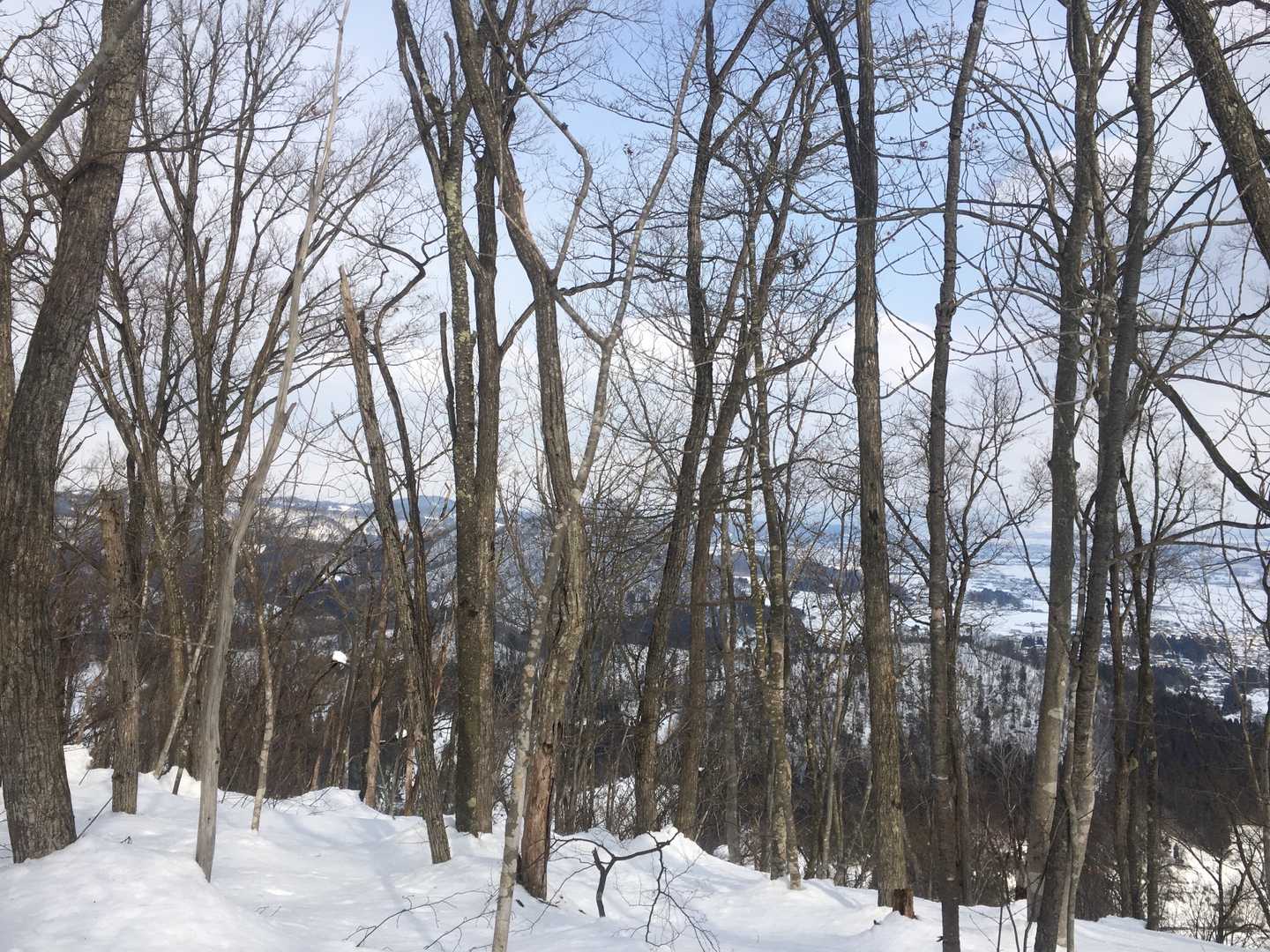 富神山より高く見えるけど目の錯覚かな⁉️
暖かくなると更に雪が緩むのでゆっくり休憩しないで下山します。