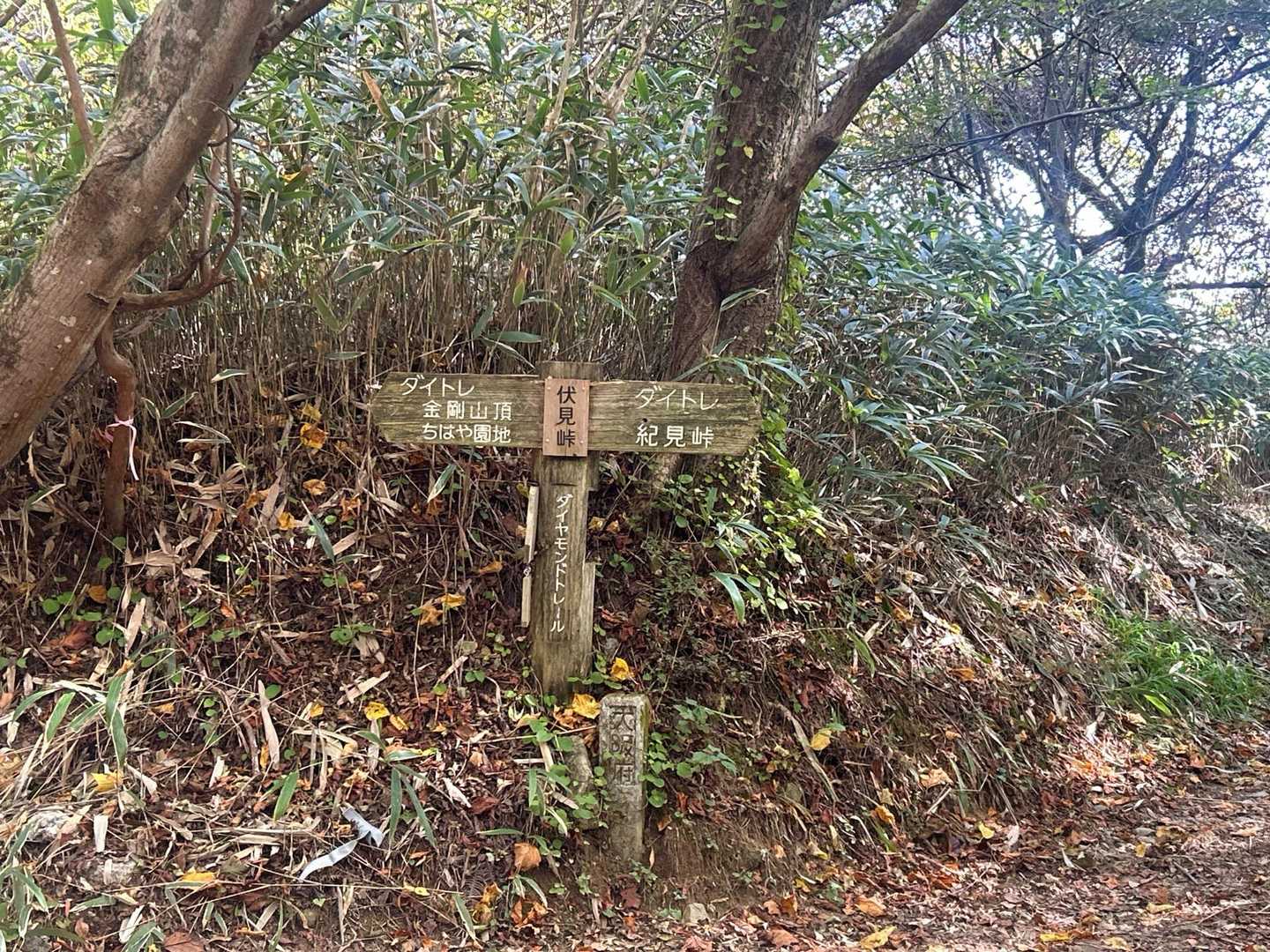 千早本道登山口-金剛山-金剛山山頂売店-転法輪寺-金剛山葛 縦走コースの写真