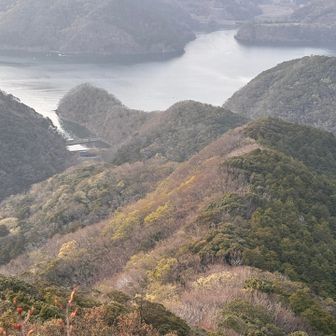 新緑がちらほら