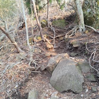 ここは短いロープあり