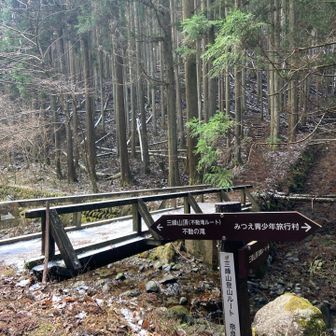 7ヶ月ふりにやってきました♪
前回は雨の山行☂️でシロヤシオがとても美しかったお山です🏔️
登尾ルートを行きます🚶‍♀️‍➡️