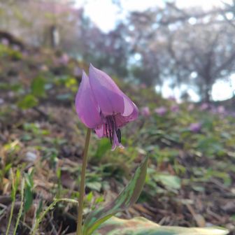 何度見てもかわいい🥰