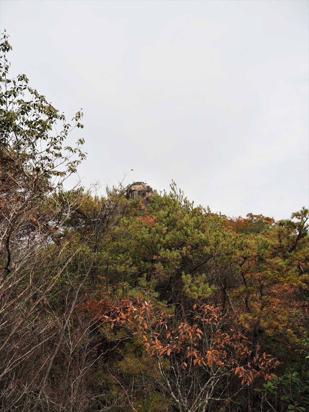 山頂を振り返る。