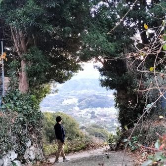 糸我峠手前にて(標高150m付近)
モデルさんみたいに上手く撮れないね😅