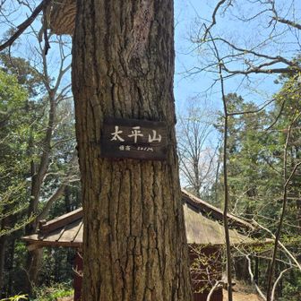 太平山　３４１m