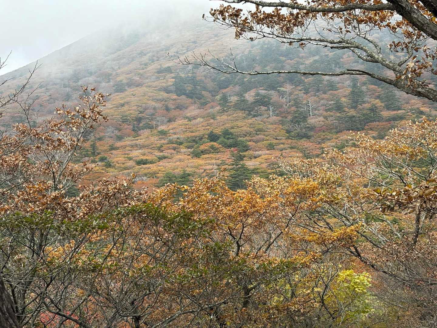 韓国岳の山肌も色づき