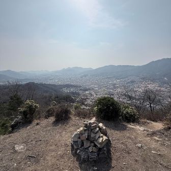 やっぱり……
田舎 ⸜( ¯⌓¯ )⸝