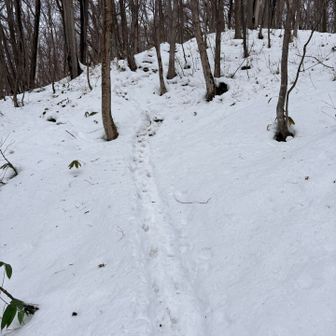 アイゼンでサクサク