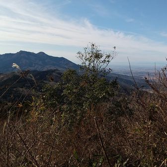 ここからも富士山は見えなかった。