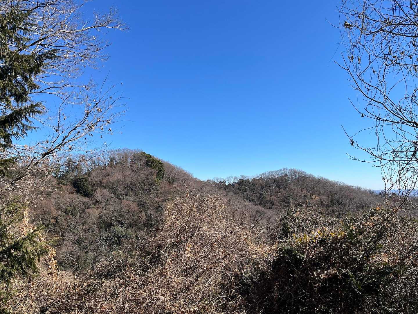 こんな感じで何度もアップダウンしてきました