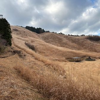 晴れ予報のはずだったんですがね