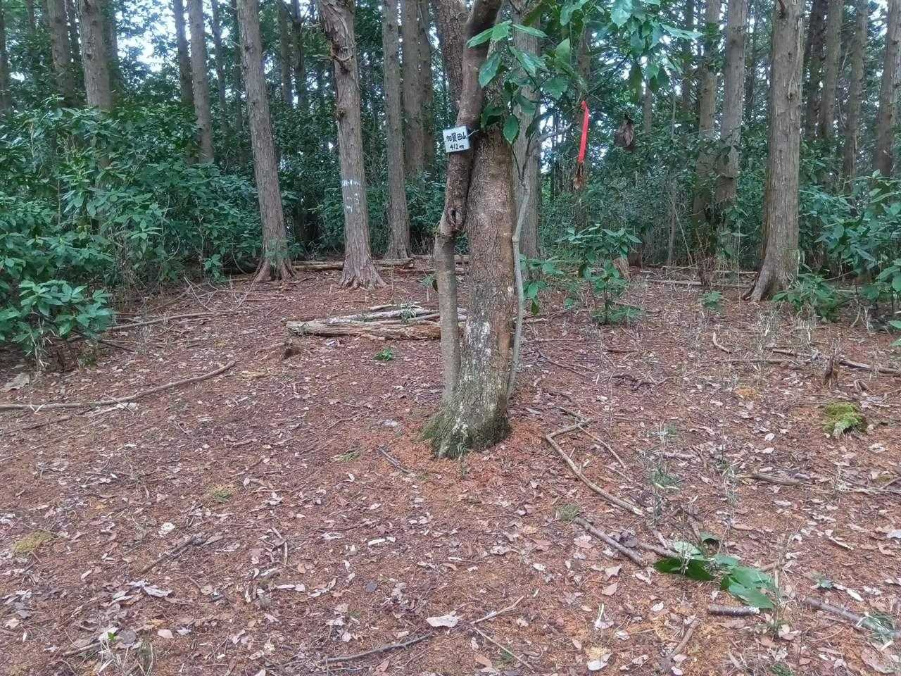 加賀田山頂上
