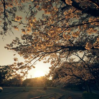 お疲れ山でした。
