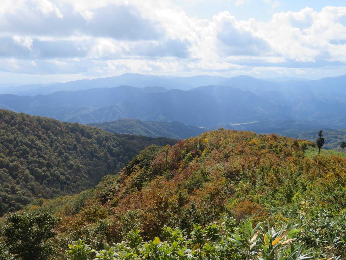 山全体は燃えないの？