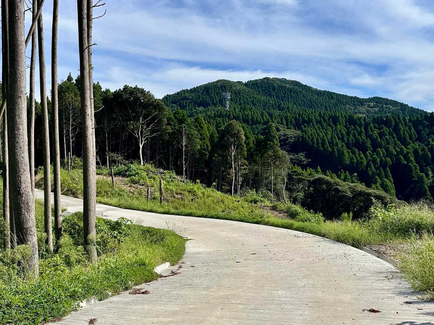舗装路に出ました