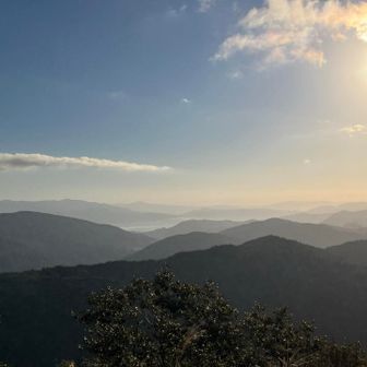 山頂の景色