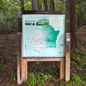 雨音で目覚める☔
これは行けるのか⁉️

5時前に起きてずーっと悩んでました。
次々に出発する皆様に勇気づけられ.出発！