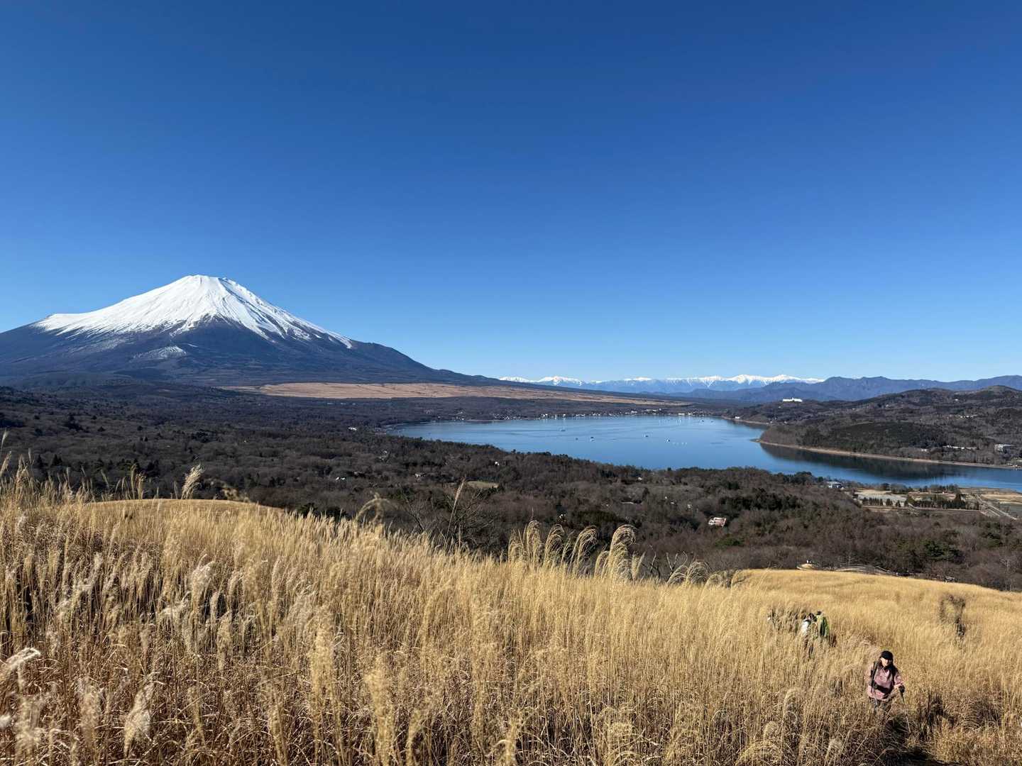 ハイキングコース入口バス停-鉄砲木ノ頭-大岩-切通峠-高指 周回コースの写真