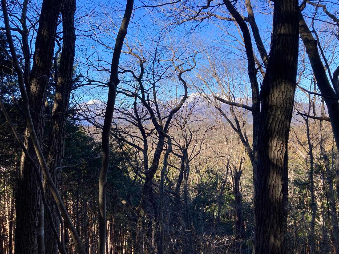 木々の間にずっと日光連山が見えてる
威風堂々の佇まい