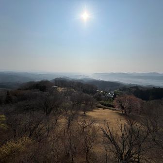 酒臭いけど景色良き✨
もう少しで桜咲きそぉ🌸
