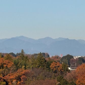 奥多摩❔雲取山とか❔