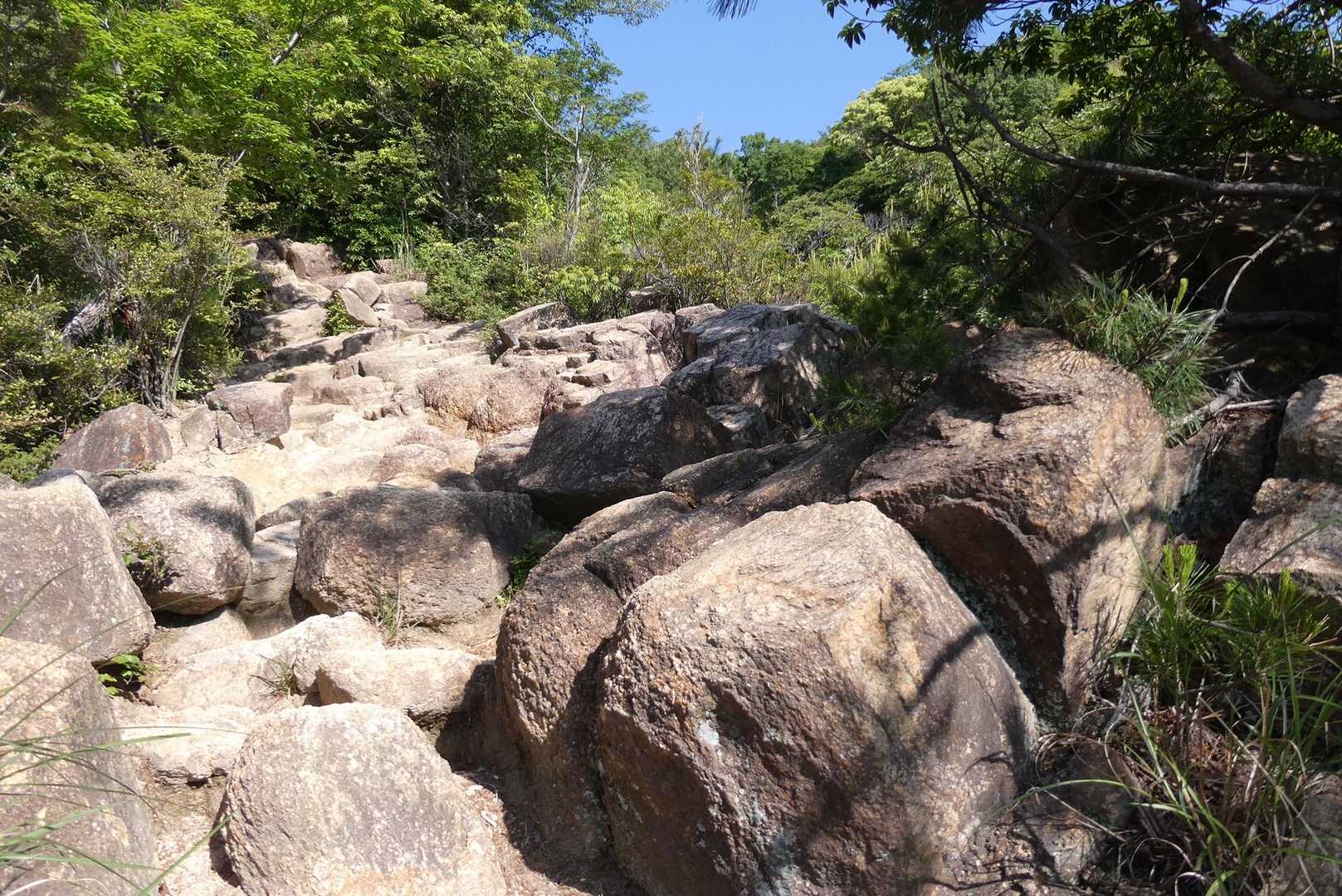 アスレチック気分で登っていきます😙