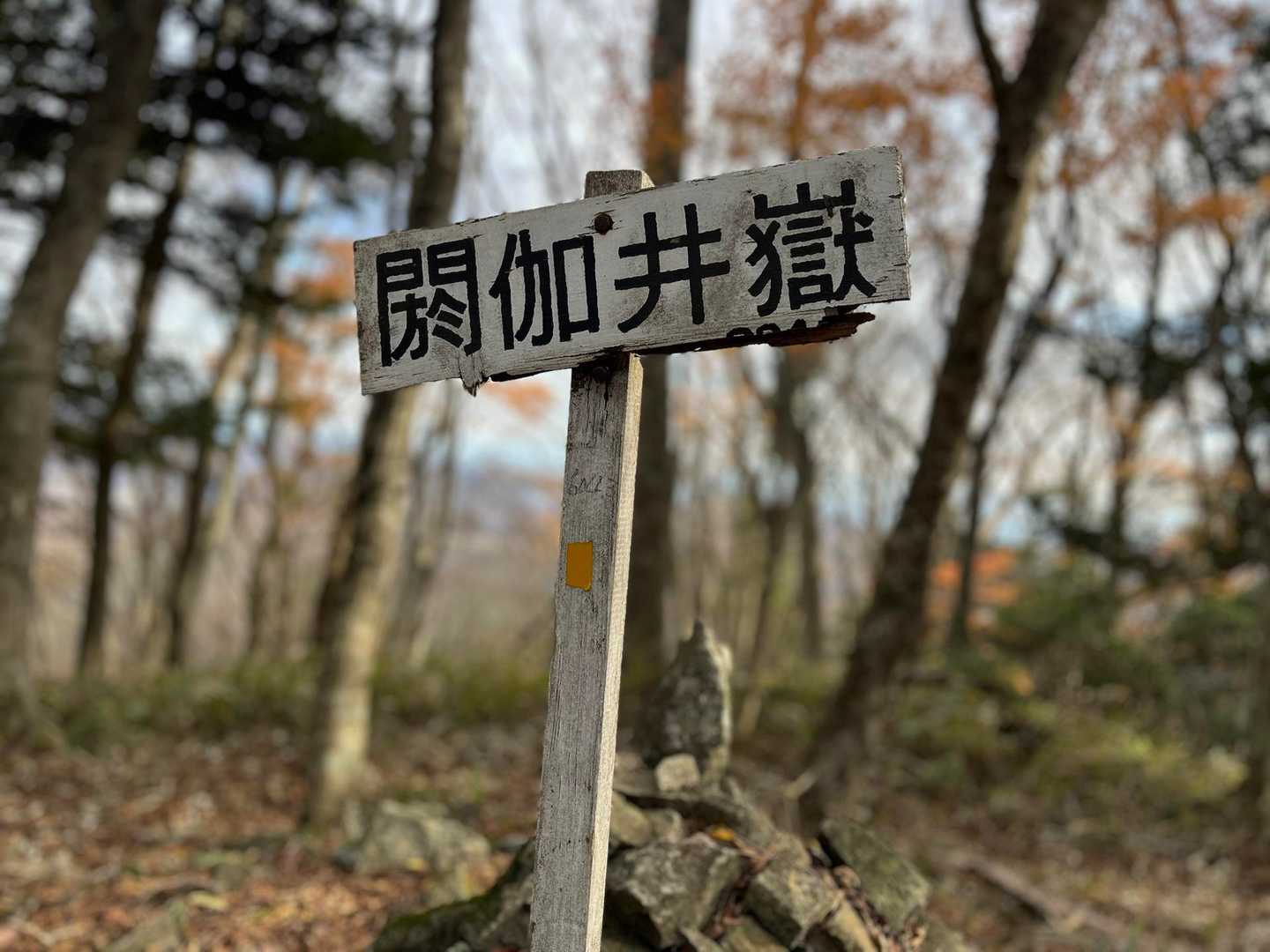 もう少し先に閼伽井嶽頂上👍
