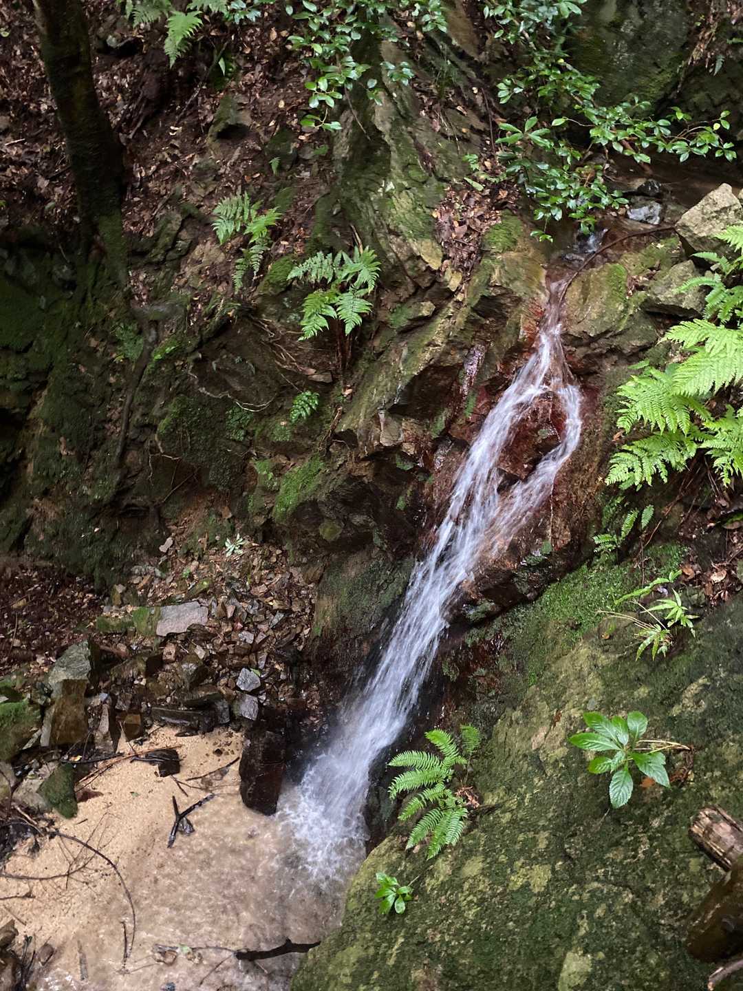 水の音が涼しい〜