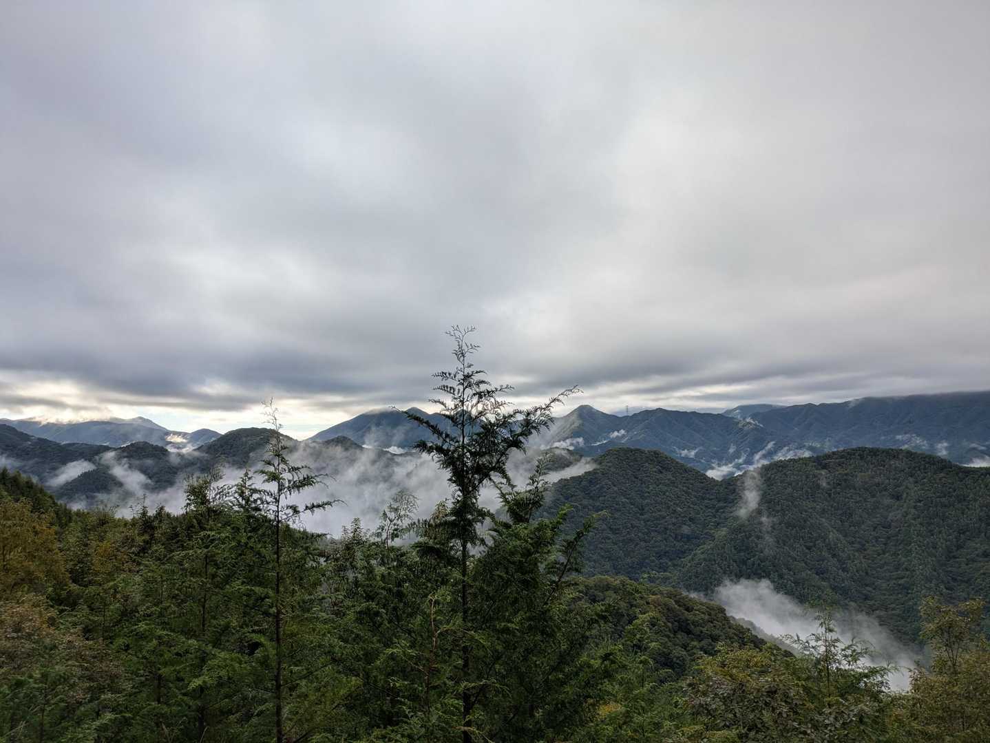 東峰手前の登山道に、スズメバチ🐝の巣があるので注意⚠️
偵察部隊が飛来したら、速やかにエスケープを🏃