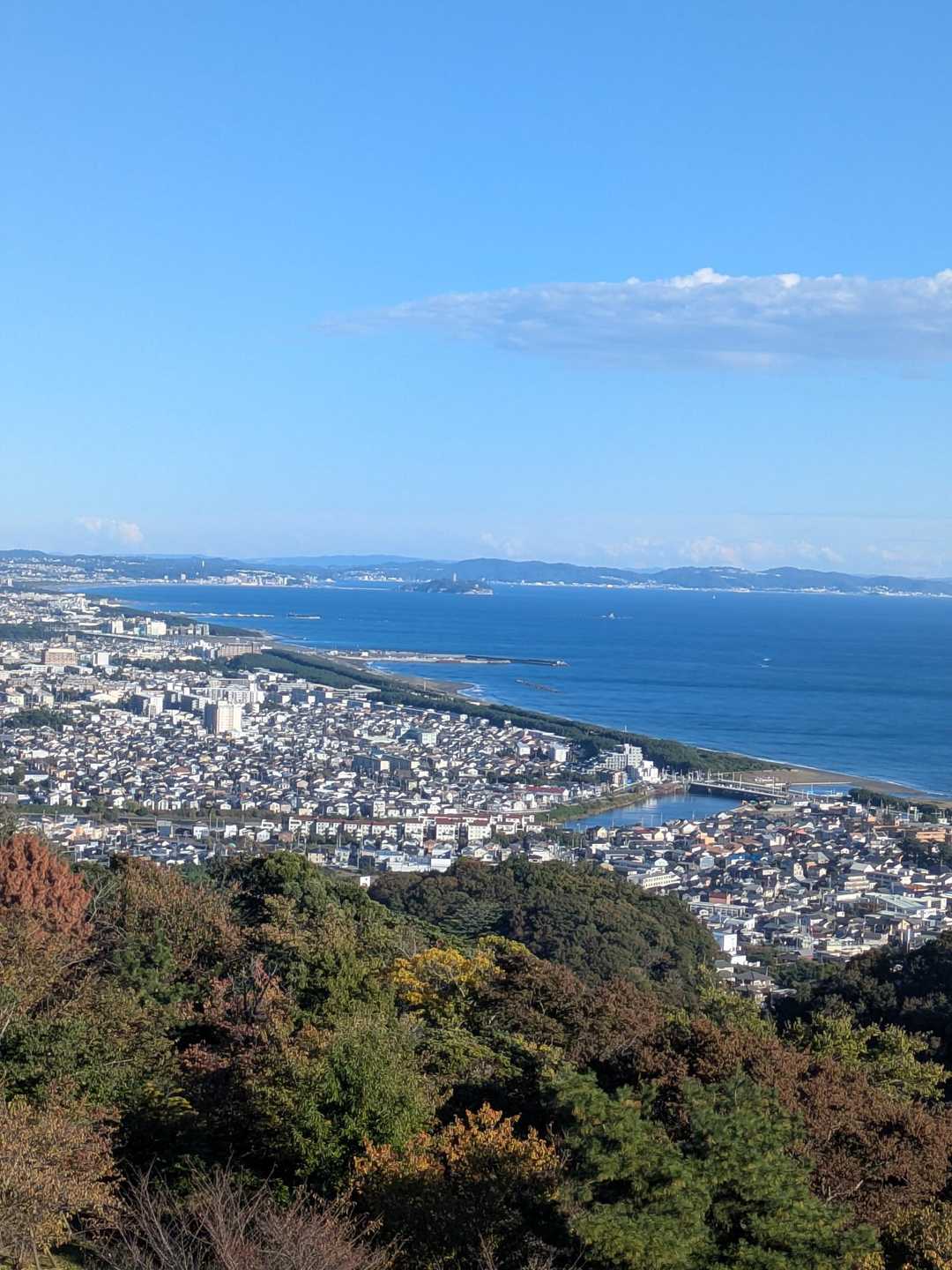 浅間山-高麗山 往復コースの写真