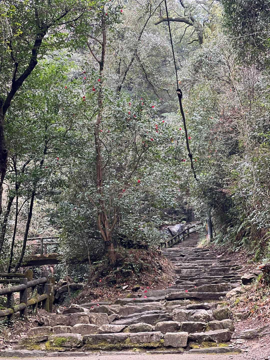 茶臼山 周回コースの写真