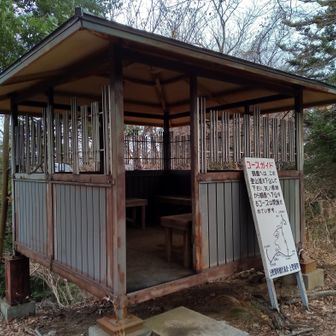 高柄山に1時間程早く着いてしまったので先に進み、御前山との中間地点のこの東屋でランチタイムにしました🍙🥪
新矢野根峠