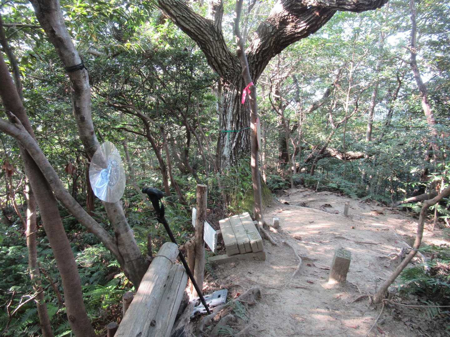 縦走路途中の山頂です。
休憩ポイント❗