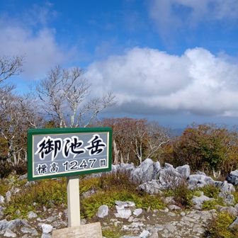 一応登ってきた
