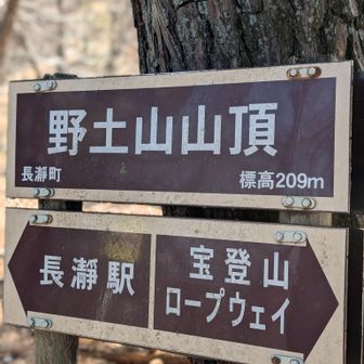 この山頂直下の直登が今日イチきつい🤣