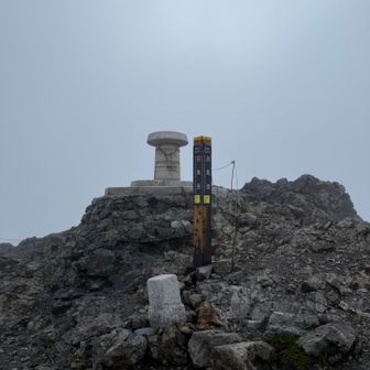 やっぱり山頂はガスガス