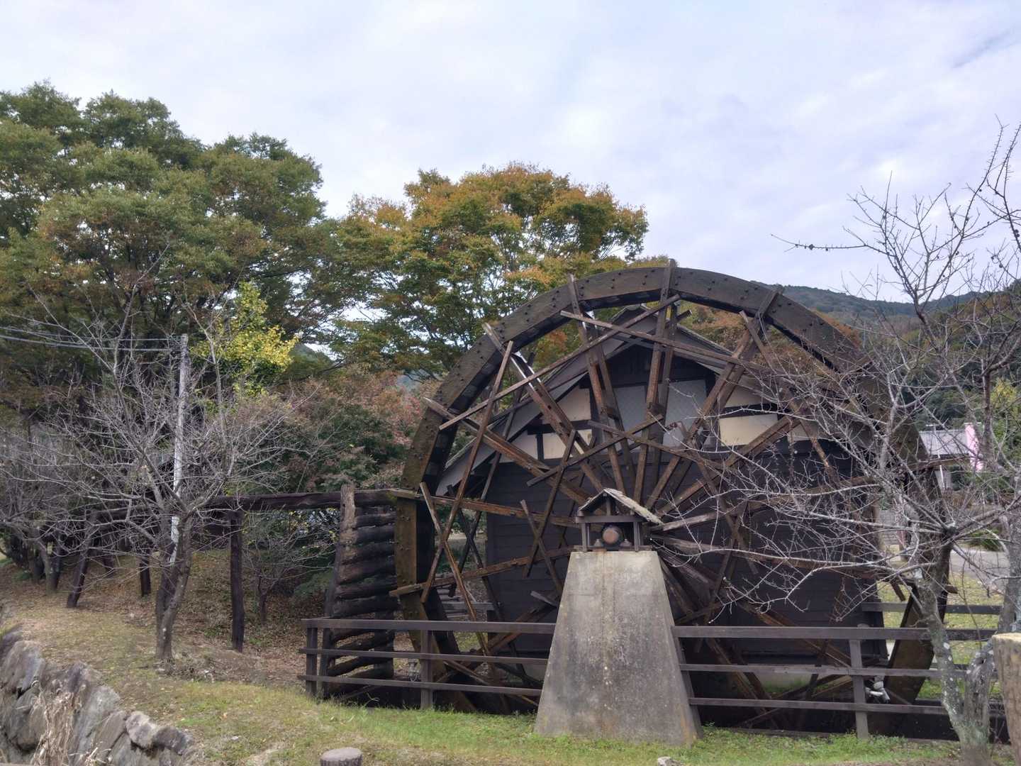 今日も楽しい時間でした🕺
寒くなってきたので近場のお山で遊びます✨