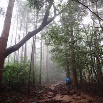 絵画のようですね
誰だろう　東山魁夷？（テキトー）