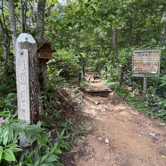 登山口に出てきました