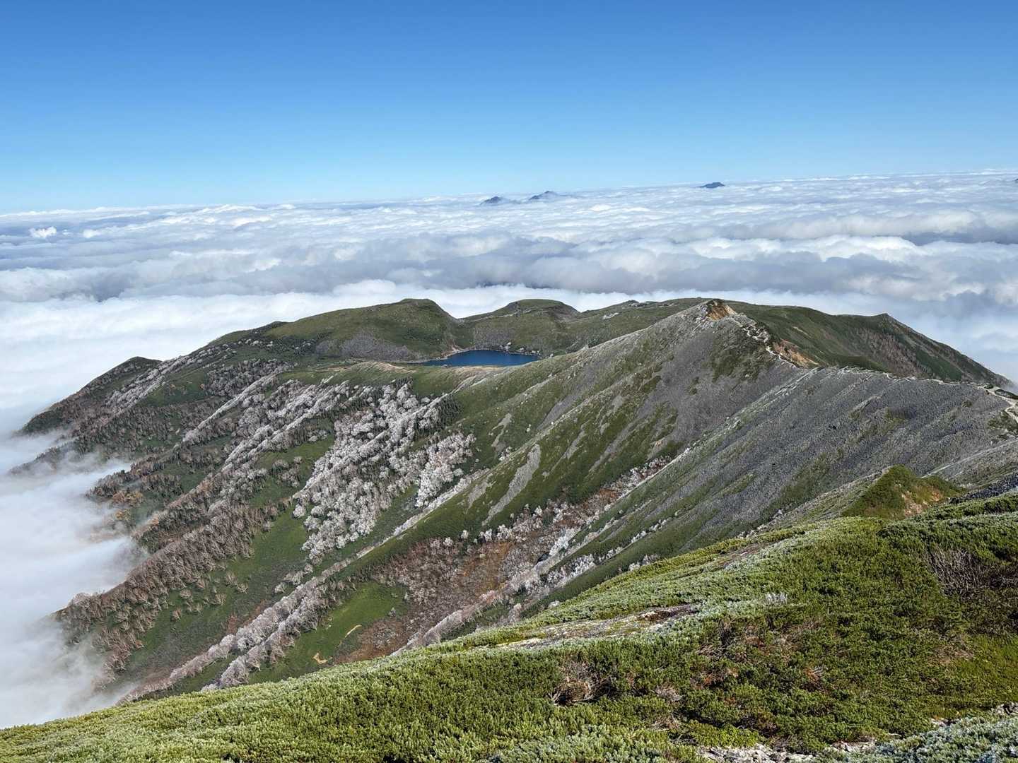 蓮華温泉バス停-蓮華温泉登山口-船越の頭-小蓮華山-白馬岳 往復コースの写真