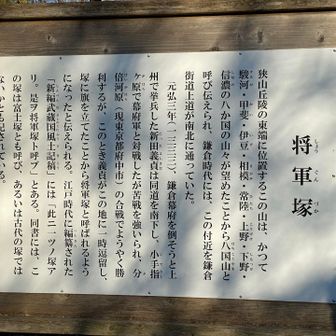 新田義貞が旗を立てたとされる将軍塚