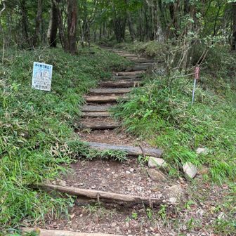 ここから角度がつき始めます