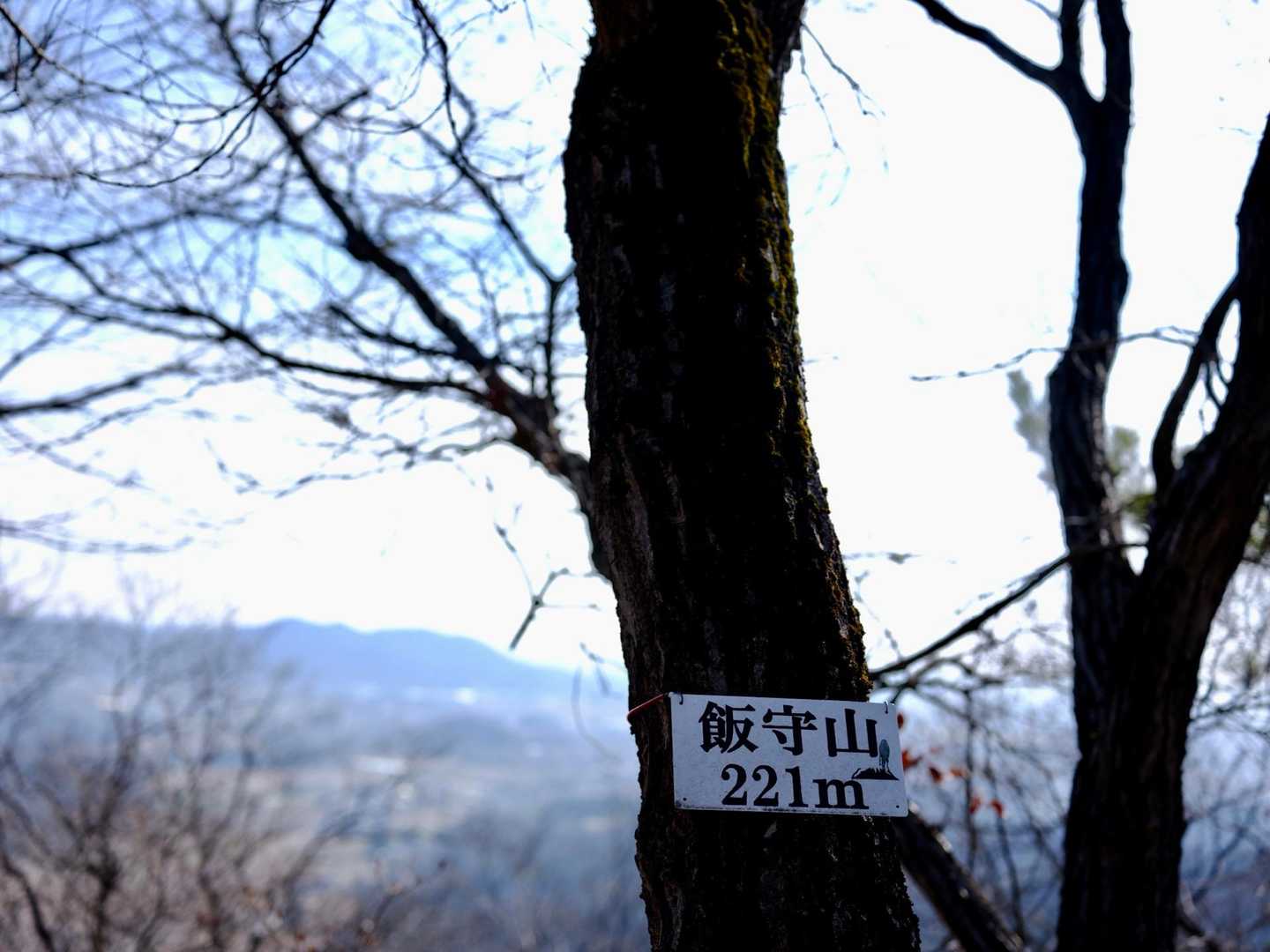 満足して次に。飯守山。眺望なし