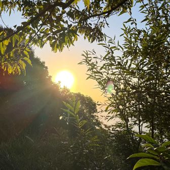 太陽が大きい☀️
