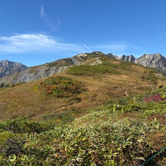 紅葉🍁が始まってる