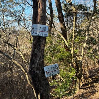 ニノ峰だけに2つあるのだろうか？