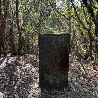 天測点！
回収完了