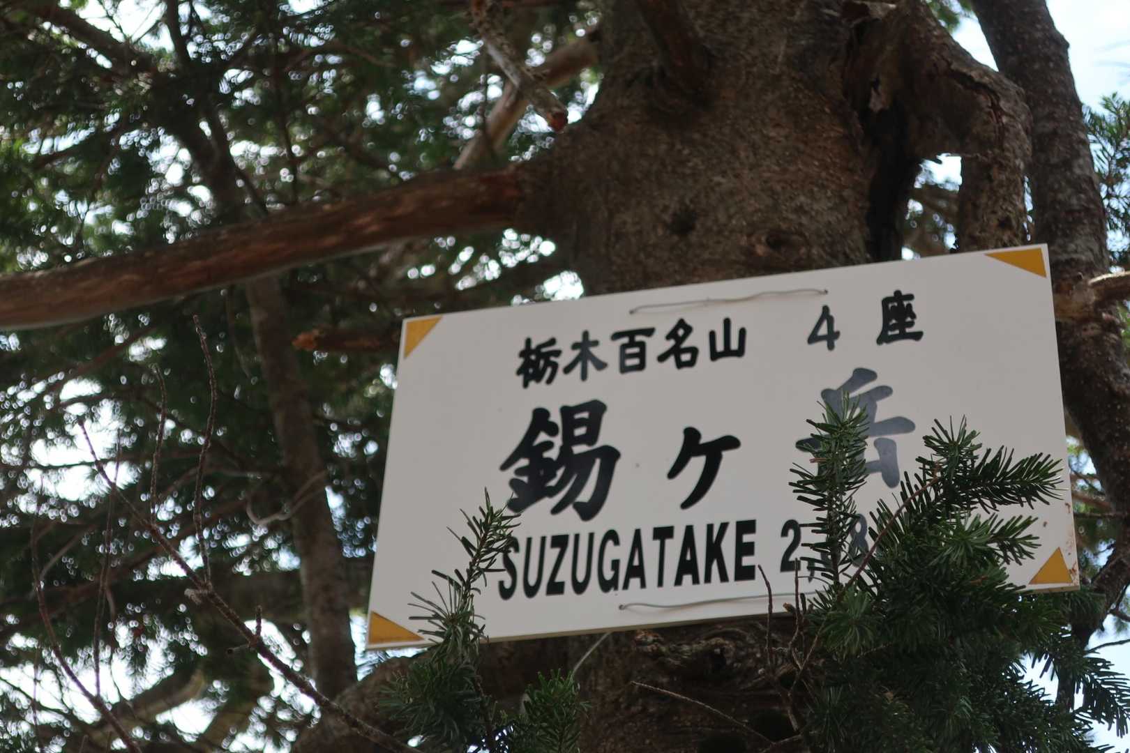 錫ヶ岳😳✨