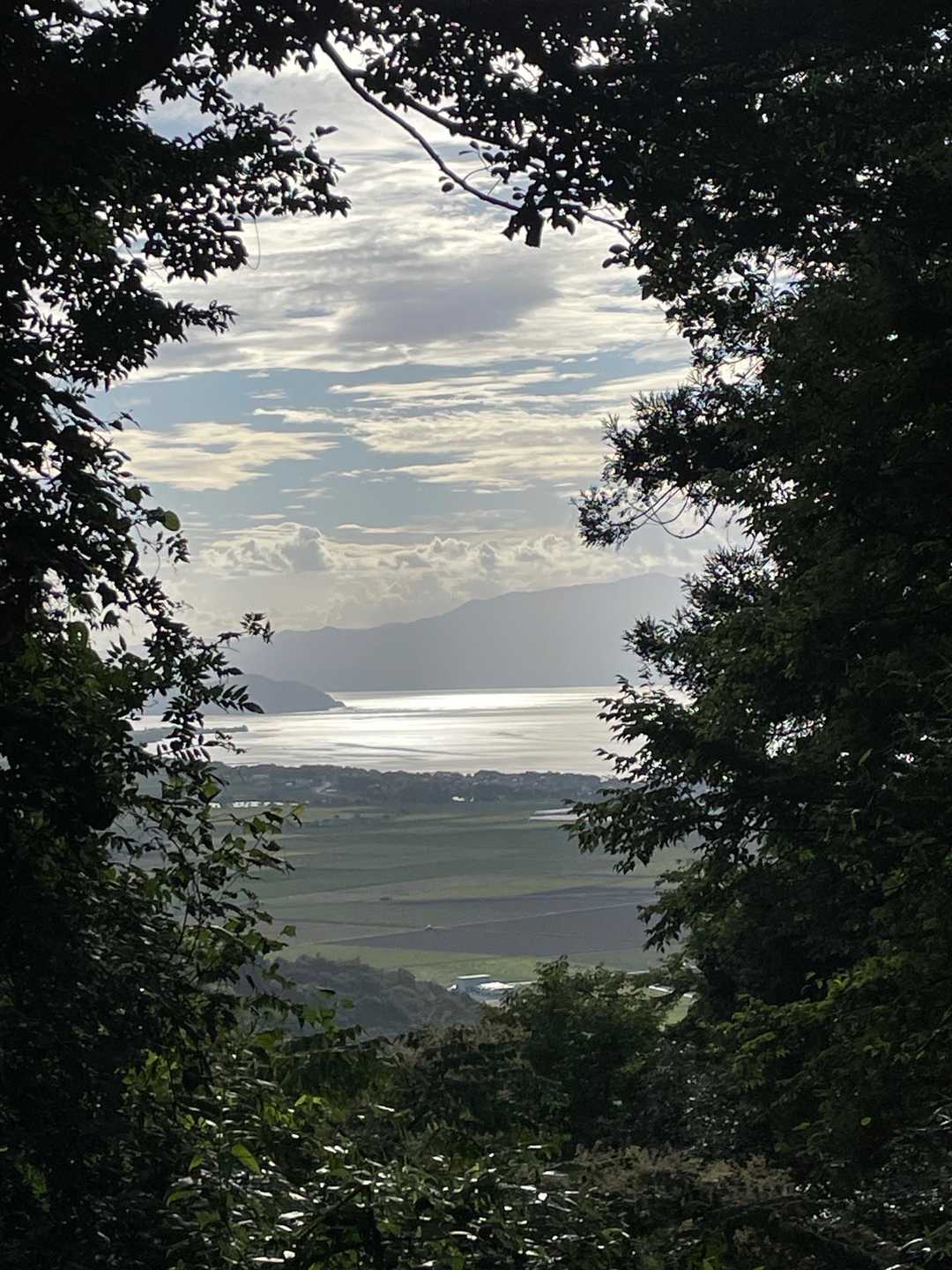 荒神山 往復コースの写真
